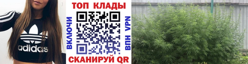 Купить закладку A PVP  Кокаин  МЕФ  Гашиш  Струнино