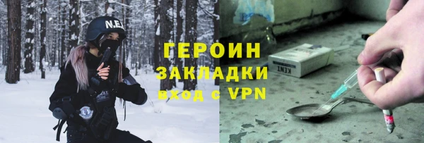 твердый Гусев