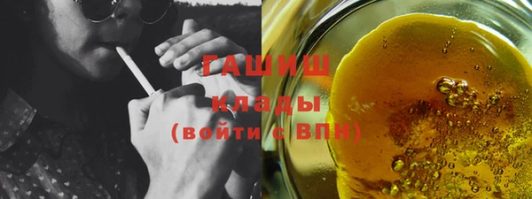 твердый Гусев