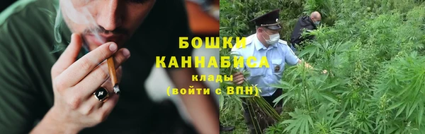 твердый Гусев