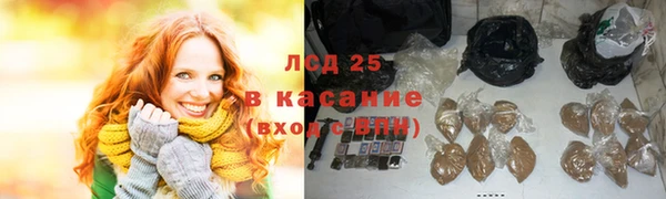 твердый Гусев
