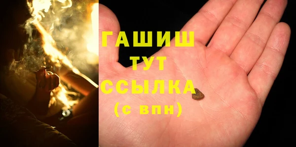 твердый Гусев