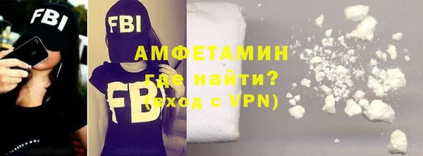 твердый Гусев