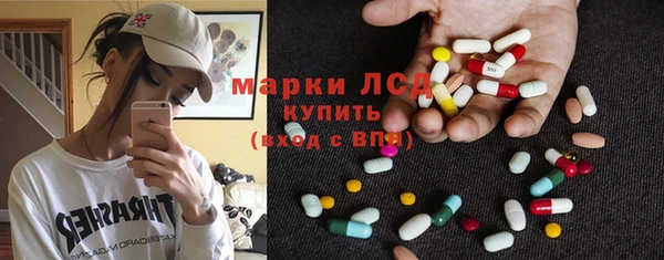 твердый Гусев