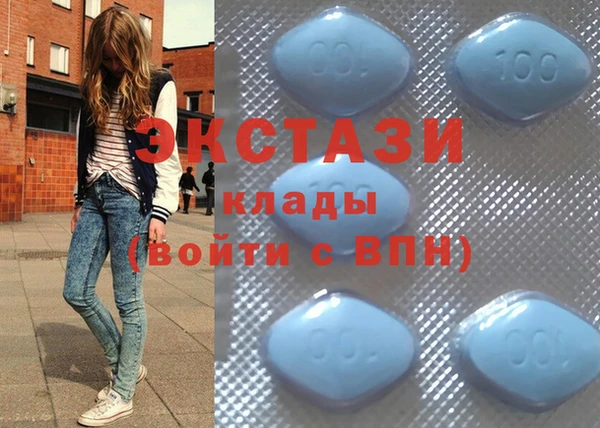 твердый Гусев
