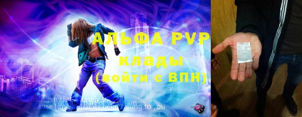 твердый Гусев